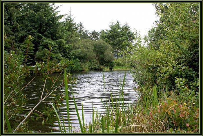 Access 28mi fresh waterwy
