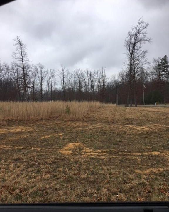 1st image of 208 Laurens Ln