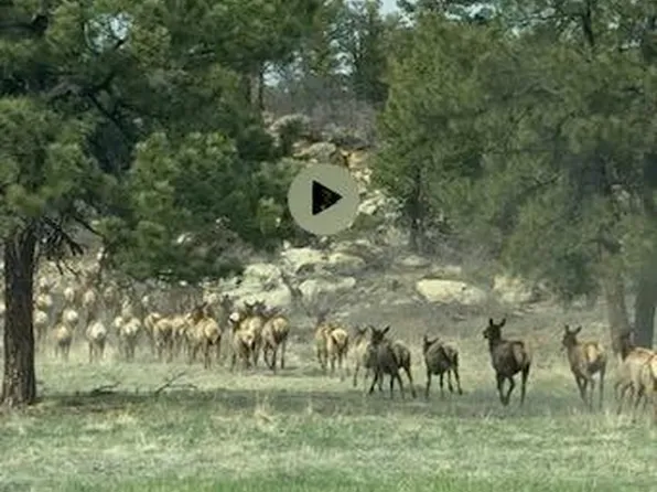 21011 County Road 43.6, Aguilar, CO 81020