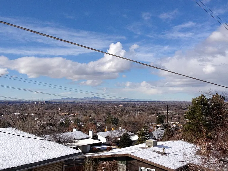 View1