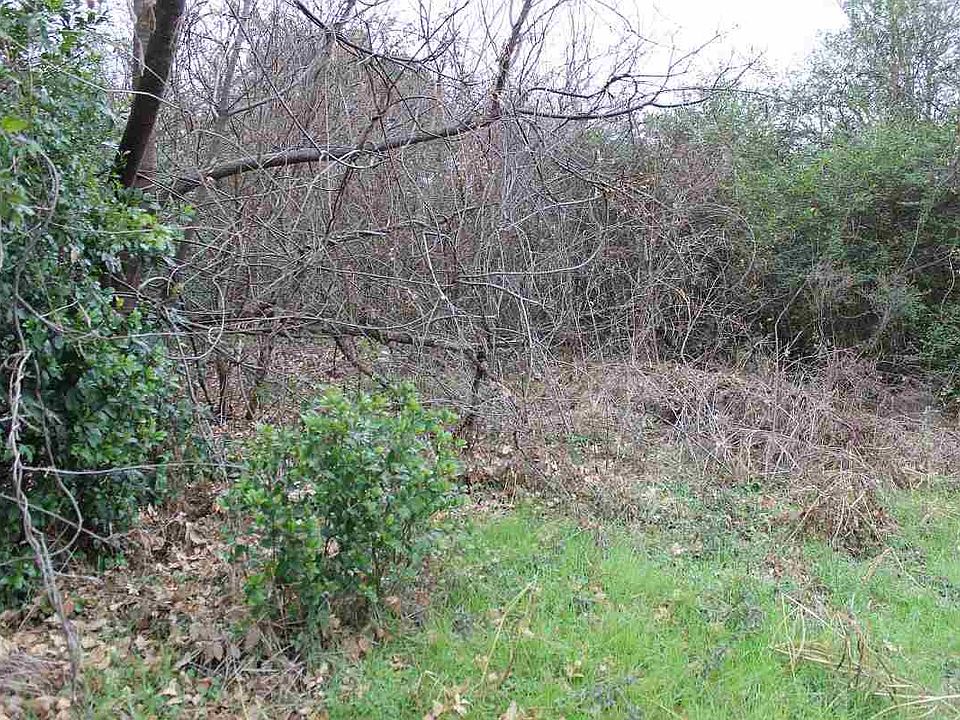 2nd image of 302 E Lake Dr