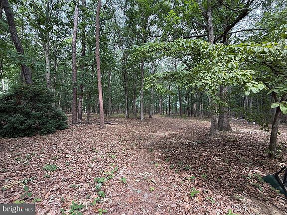 4th image of 227 Oak Shade Rd