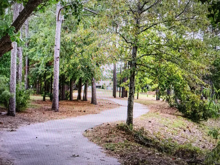 Walk/Run/Stroll Paths