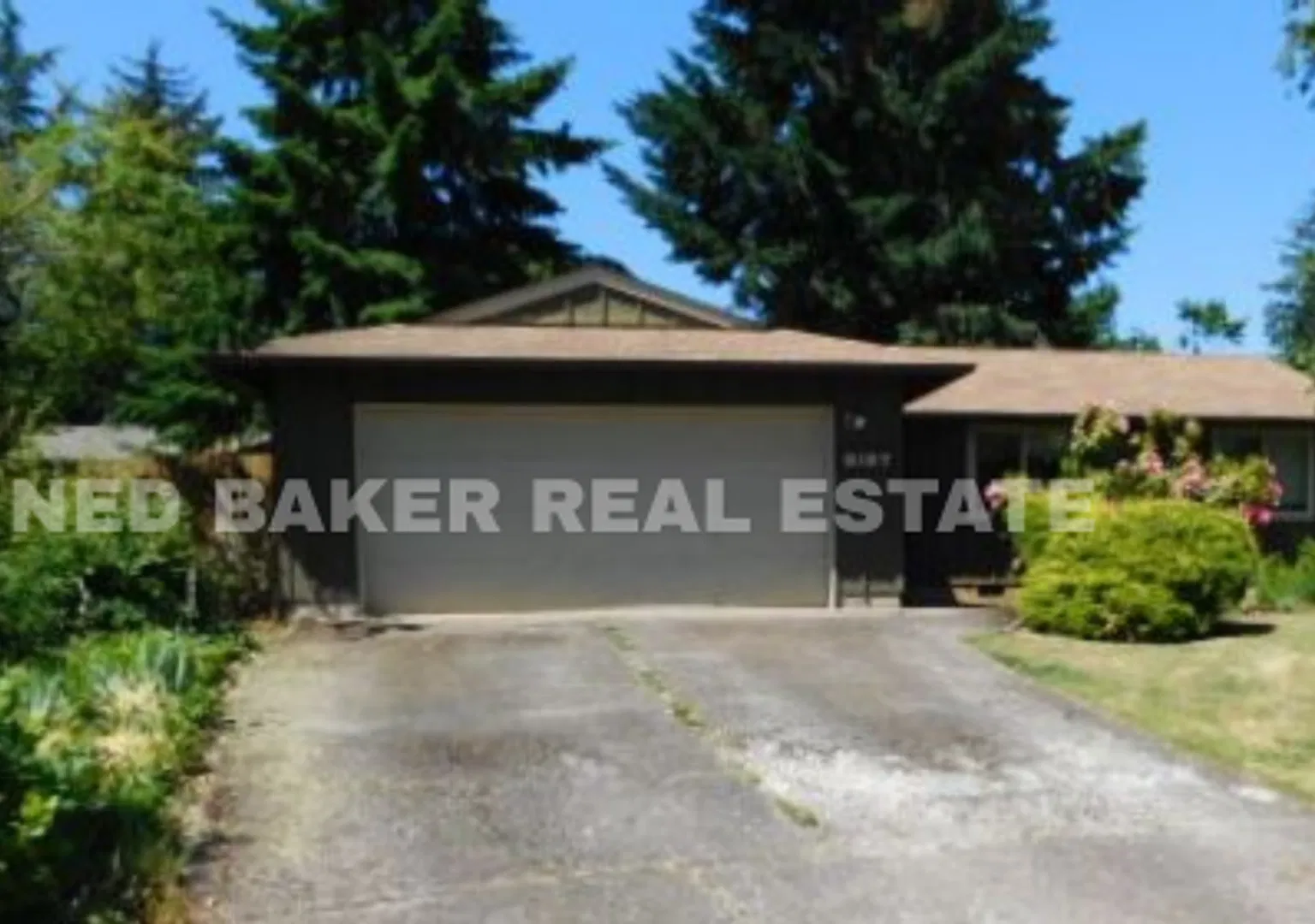 3Bd/2Ba Single Story Home - Available Soon! — Photo 1