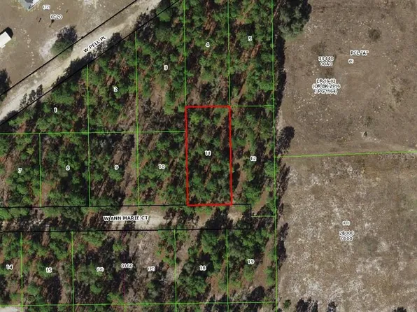6031 W Ann Marie Ct Lot 11, Dunnellon, FL 34433