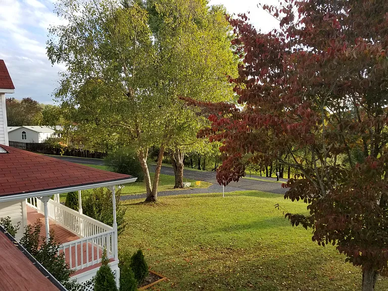 Front yard from upper deck