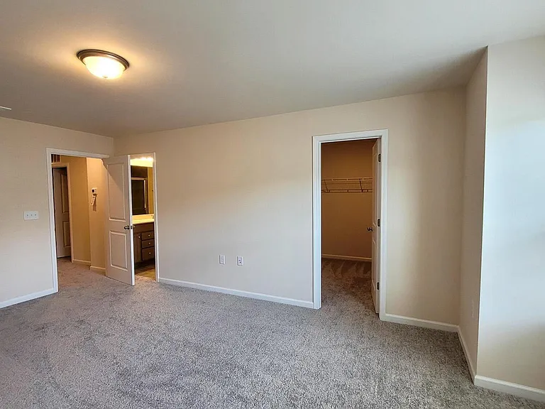 234 Ribbon Rail St — Photo 30