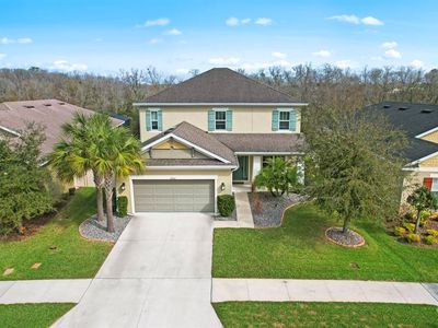27043 Carolina Aster Dr, Zephyrhills, FL, 33544
