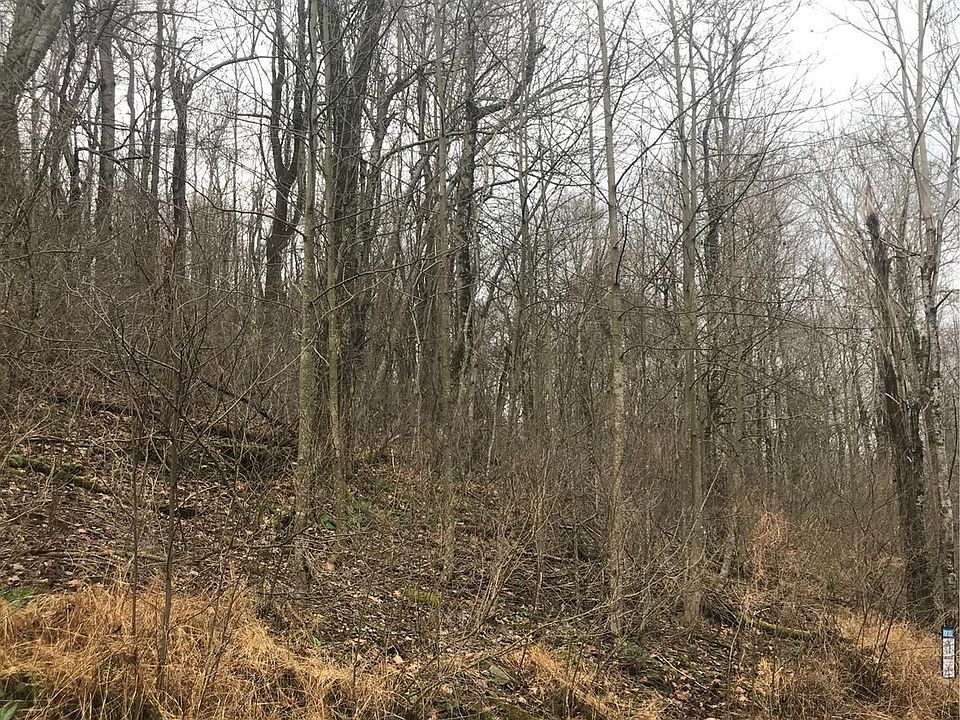 2nd image of Cliff Heights Rd