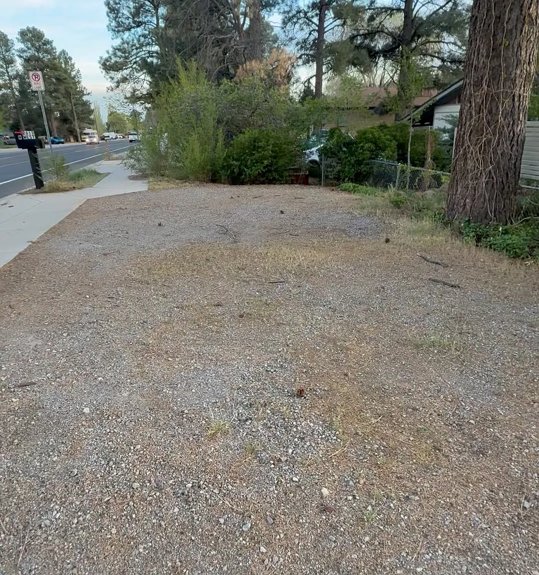 1 bed, 750 sqft, $2,000 — Photo 3