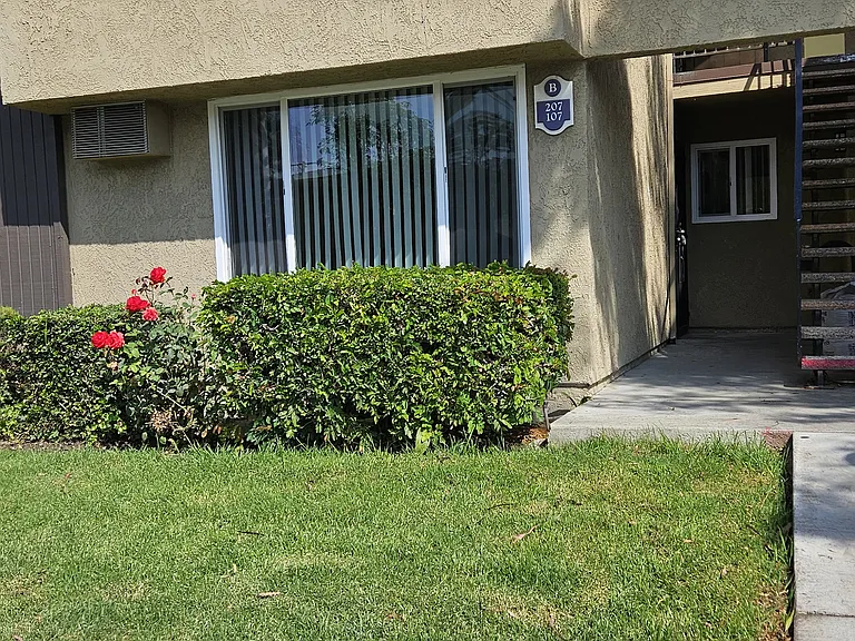 Cascade terrace — Photo 12