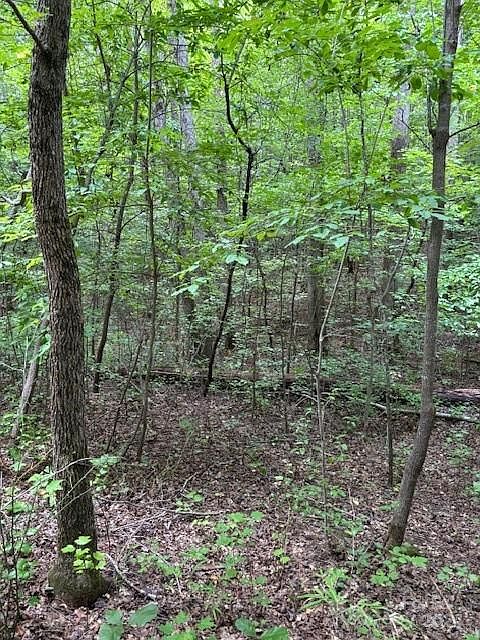 2nd image of 0 Timber Rd