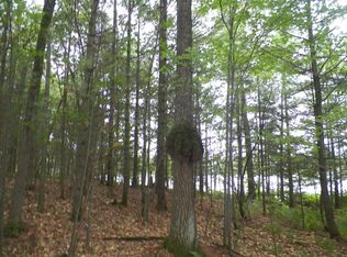 8175 Denoyer Dr, Minocqua, WI 54548