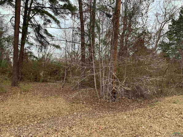 Karnack Hwy Tract 2, Marshall, TX 75672