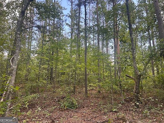 4th image of 111 Riversong Tract 26