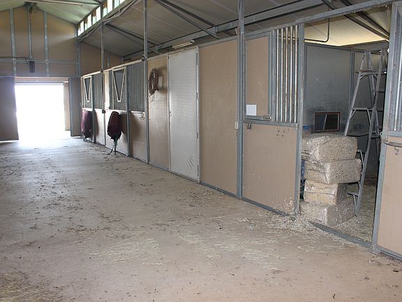 Horse barn