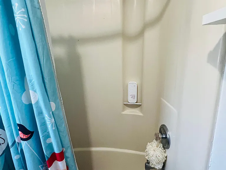 208 Poplar St #2 — Photo 3