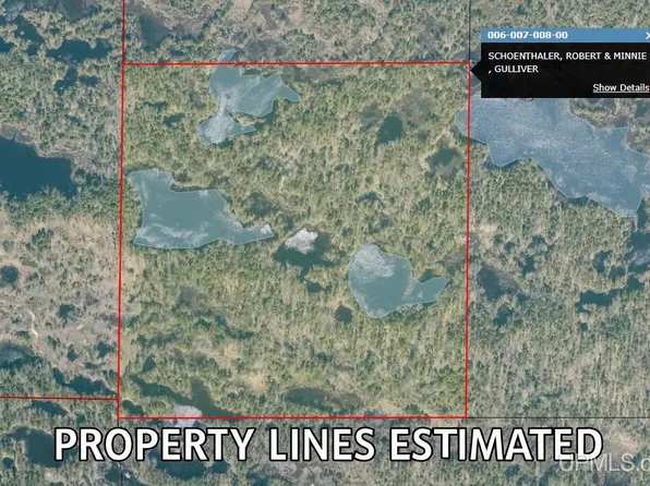 N Gulliver Rd, Gulliver, MI 49840