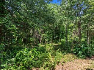 403 N Willis St, Daingerfield, TX 75638