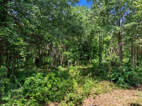 403 N Willis St, Daingerfield, TX 75638