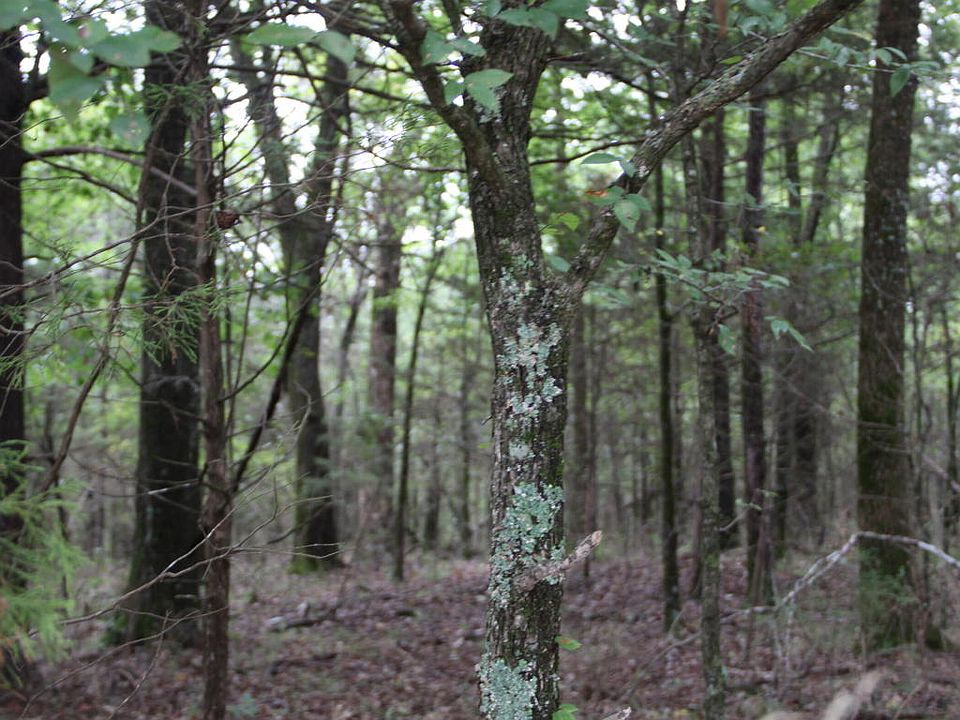 2nd image of Lazy Acres Rd