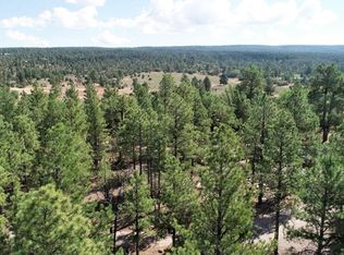 Elk Springs Rd, Ramah, NM 87321