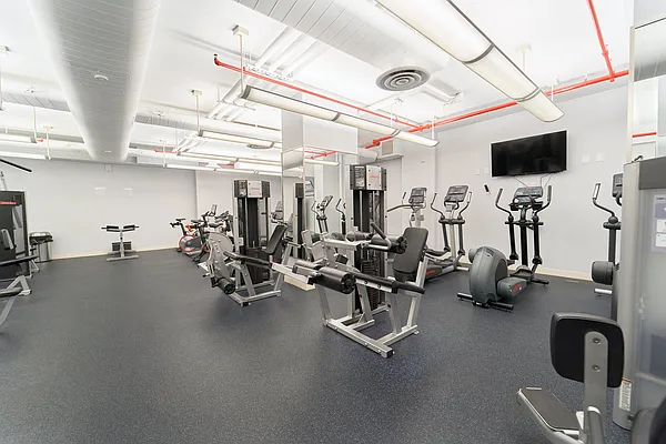 Rented by Living New York | media 29