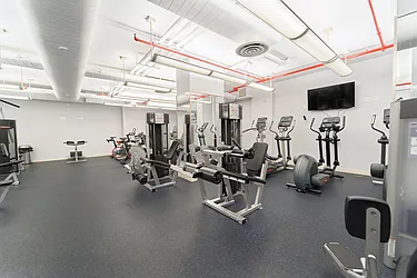 Rented by Living New York