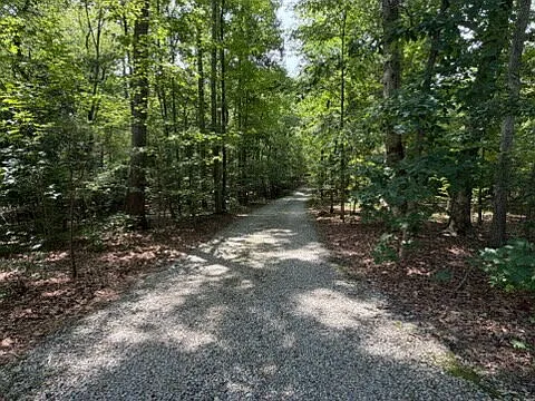 4 bed, 2.5 bath, 2910 sqft, $3,500 — Photo 4