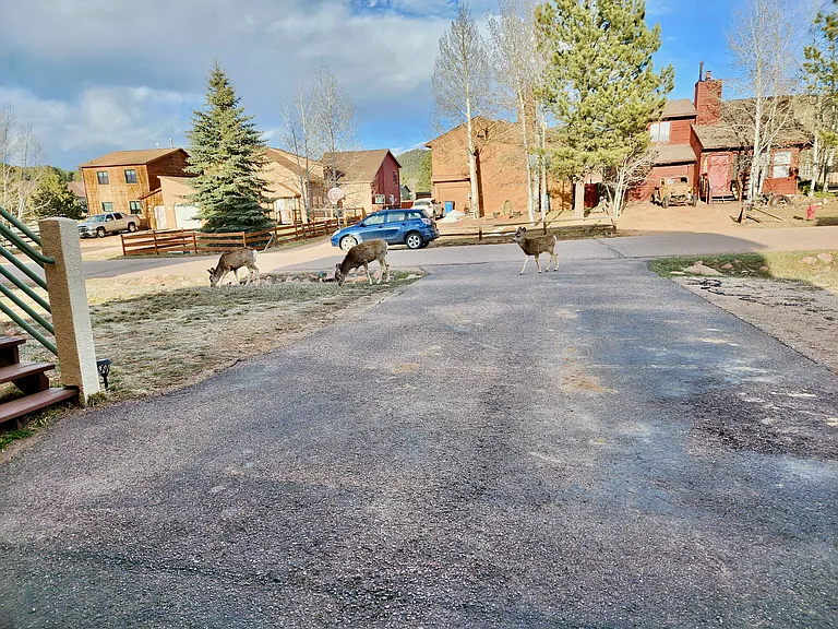 1805 Columbine Village Dr — Photo 25
