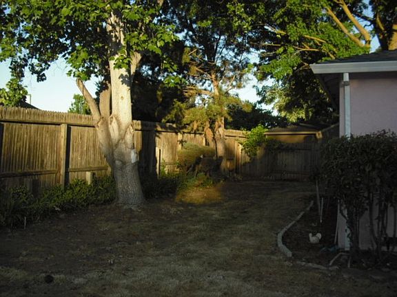 Back Yard