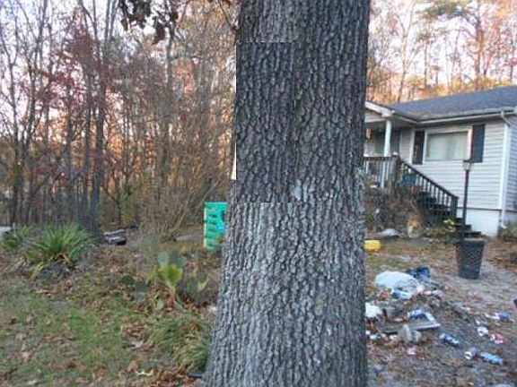4th image of 248 Orchard Ave