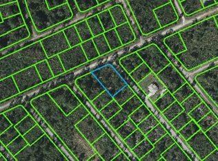 622 Ron Adams Pl, Lake Placid, FL 33852