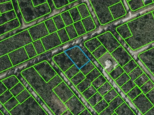 622 Ron Adams Pl, Lake Placid, FL 33852