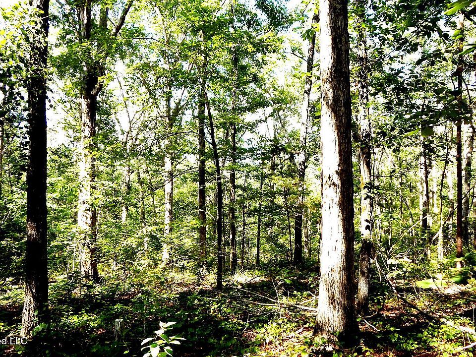 1st image of 330 County Road 245