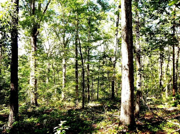 330 County Road 245, Abbeville, MS 38601