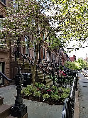 1st image of 392 1st St APT 2