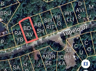 204 Tupelo Dr, Brookeland, TX 75931