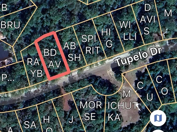 LOT 204 Tupelo Dr, Brookeland, TX 75931