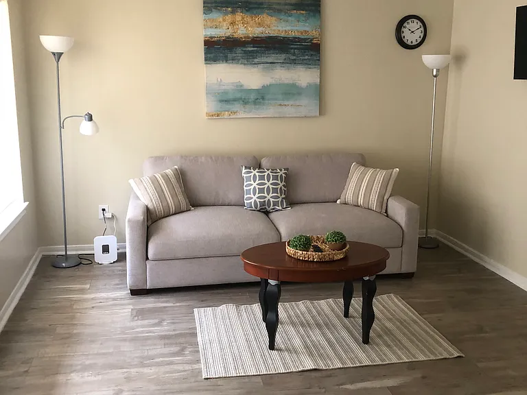 SPACIOUS LIVING ROOM