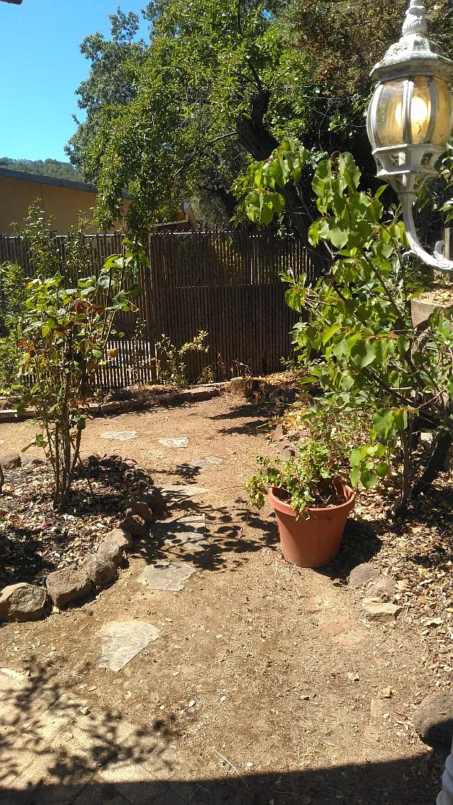 3 bed, 1132 sqft, $4,000 — Photo 4