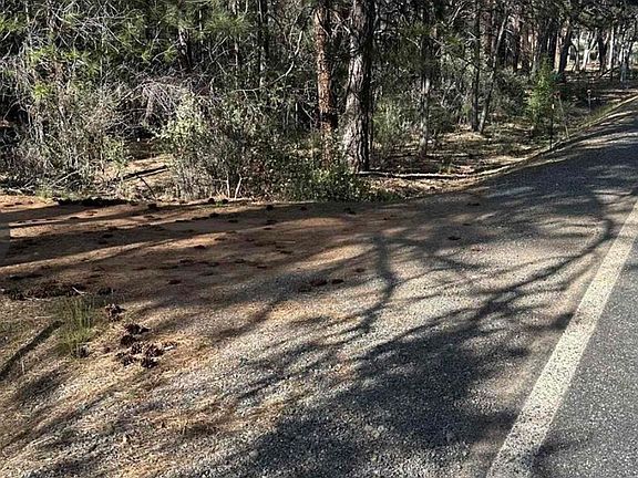 2nd image of 5711 Scott River Rd