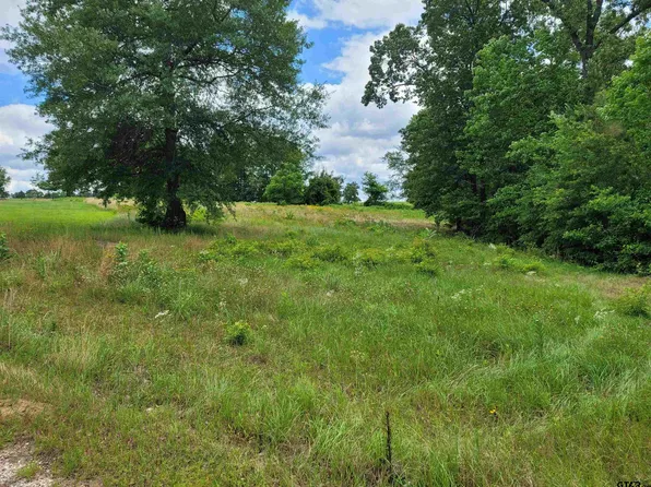 6 County Road 1218, Pittsburg, TX 75686