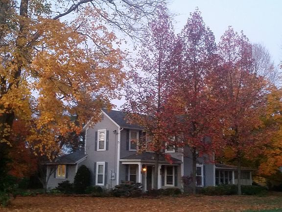 Beautiful in every season
