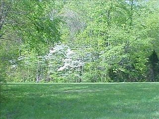 1st image of 8132 Dowden Dr