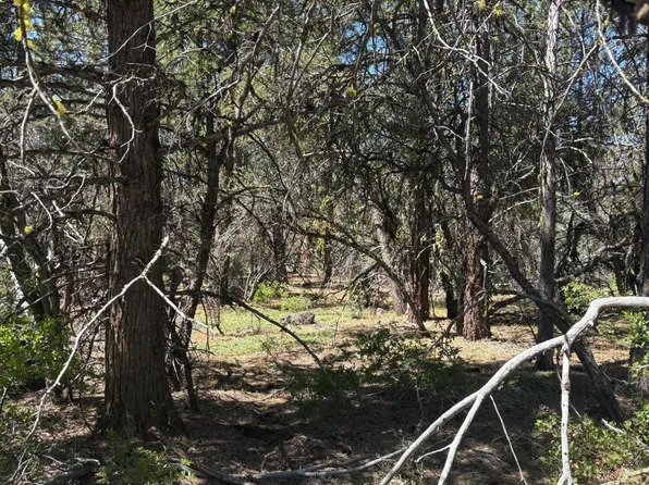0 Chickadee Dr Lot 10, Bonanza, OR 97623