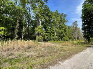 Turkey Trot Rd, Florahome, FL 32140