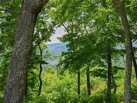 2nd image of Lot 11 Mountain Laurel Parkway