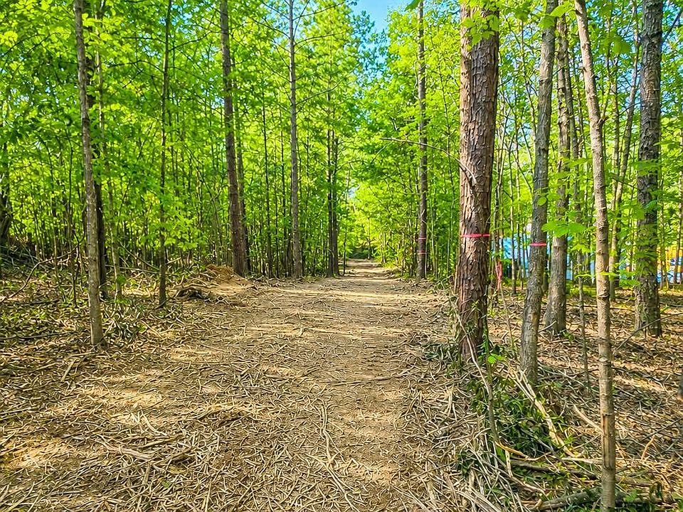 2nd image of 0 State Highway 73 #B