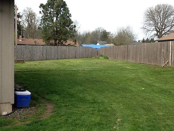 Very large backyard